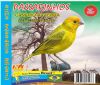 Can�rio Canto Metralha - Sons P�ssaros Brasil